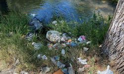 Piknikçiler, Kurtboğazı Barajı’na bağlanan dereleri çöplüğe çevirdi