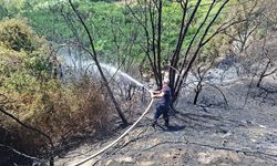 Samandağ’da bahçe yangını kısa sürede söndürüldü