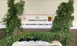 Samsun’da jandarmadan silah ve uyuşturucu operasyonları: 4 gözaltı
