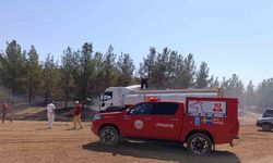 Şanlıurfa’da orman yangını