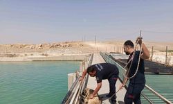 Şanlıurfa’da sulama kanalına düşen köpeği itfaiye kurtardı