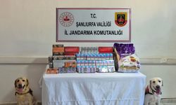 Şanlıurfa’da tütün ve alkol kaçakçılarına darbe