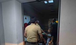 Siirt’te ağaçtan düşen adam yaralandı
