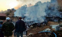 Sinop’ta çıkan yangında 2 ev, 2 ahır, 1 samanlık küle döndü
