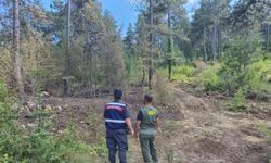 Sinop’ta jandarma orman yangınlarına karşı teyakkuzda