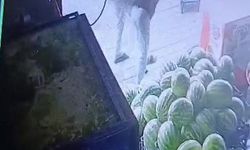 Sipariş verdiği marulu beğenmeyen müşteri, market çalışanı çocuğu darp etti