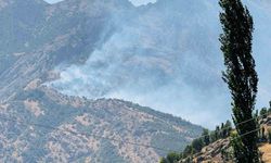 Şırnak’taki orman yangını 9 saatte kontrol altına alındı