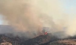 Sivas’ta çıkan örtü yangınına müdahale sürüyor