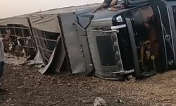 Siverek’te büyükbaş hayvan yüklü tır devrildi