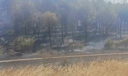 Soma yangınında bir mahalle boşaltındı, bir kişi de gözaltına alındı