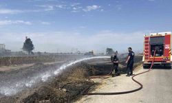 Tekirdağ’da çıkan yangın korkuttu