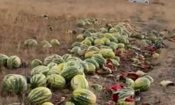 Tekirdağ’da israf tepkisi: Karpuzlar yola saçıldı