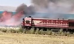 Van’da Erçek Gölü sazlıklarında yangın