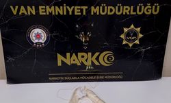 Van’da uyuşturucu satıcılarına yönelik operasyon: 1 gözaltı