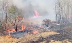 Yozgat’ta peş peşe çıkan yangınlar korkuttu