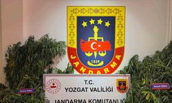 Yozgat’ta uyuşturucu operasyonu: Bin 135 kök kenevir ele geçirildi