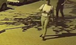 Yürüyerek geldikleri otoparktan bisikleti çalıp kaçtılar