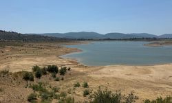 Bodrum'da barajlar alarm veriyor