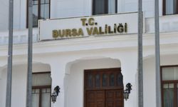 Bursa Valiliği'nden orman yangını açıklaması!