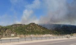 Tokat'ta orman yangını!
