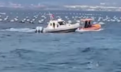 Bursa’da kayıp dalgıç için arama çalışmaları sürüyor