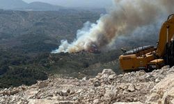 Bolu, Çanakkale, Manisa, Mersin ve Aydın'da orman yangını: Bir köy boşaltıldı