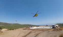 Denizli'de çıkan orman yangınına müdahale sürüyor