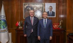 Göle Belediye Başkanı Budak CHP'den istifa etti
