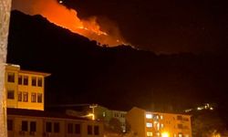Balıkesir Marmara Adası'nda orman yangını