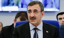 TCMB rezervleri tüm zamanların en yüksek seviyesinde