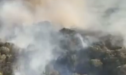 Bursa Büyükşehirden yangın açıklaması!