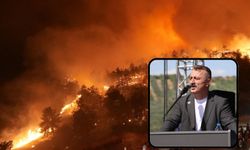 A Parti Bursa İl Başkanı Fikret Aslan: Ormanlar yanıyor, günah keçisi mi aranıyor?
