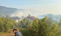 0 ilde orman yangını