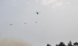 Mersin'de orman yangını