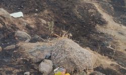 Havai fişek atarak yangın çıkaran zanlı tutuklandı