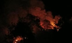 Denizli'de orman yangını