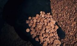 3 milyon 542 bin hap ele geçirildi