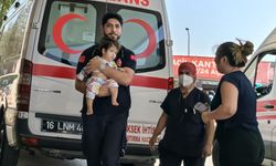 Bursa'da maraş otu yutan 1 yaşındaki bebek hastanelik oldu