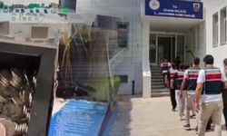 Sosyal medya dolandırıcılarına operasyon