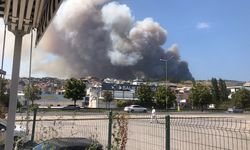Bursa'da orman yangını