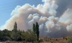 Bursa'daki yangın rüzgarın etkisiyle ilerliyor