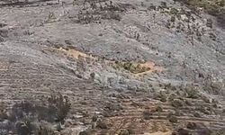 Bursa'daki orman yangını söndürüldü