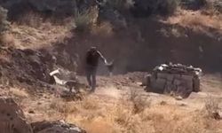 4 aylık köpeğe şiddet uygulayan şahıs gözaltına alındı