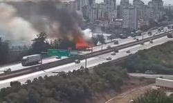 Adana’da otoyol kenarında otluk alan yangını