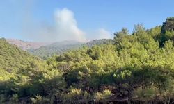 Adıyaman’da korkutan orman yangını