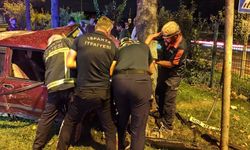 Ağaca çarpan Tofaş otomobilin sürücüsü yaşamını yitirdi