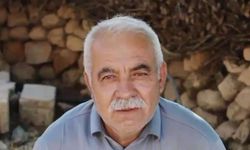 Ağaçtan düşerek ağır yaralanan muhtar yaşam mücadelesini kaybetti