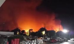 Antalya Aksu’da ormanlık alanda yangın