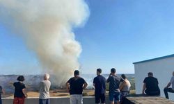 Antalya’da makilik alanda çıkan yangın zeytin ağaçlarına zarar verdi