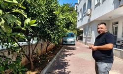 Antalya’da portakal koparma kavgası